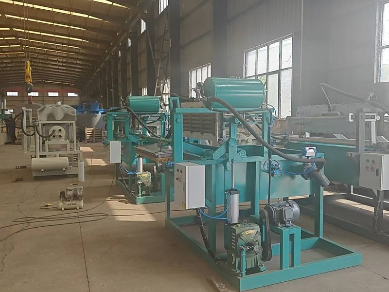 Egg tray machine production workshop in factory 4